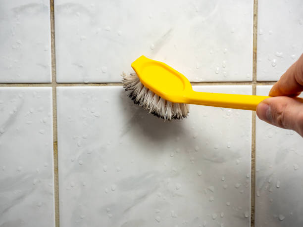 Best Local Mold Removal Service  in Airport, CA