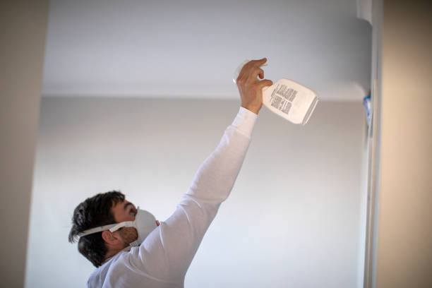 Best Local Mold Removal Service  in Airport, CA