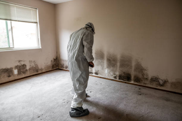 Best Mold Testing  in Airport, CA